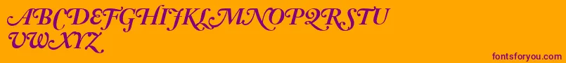 AdobeCaslonBoldItalicSwash Font – Purple Fonts on Orange Background