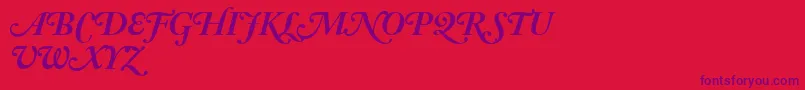 AdobeCaslonBoldItalicSwash Font – Purple Fonts on Red Background
