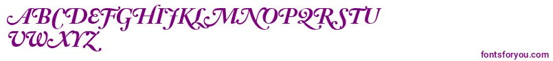 AdobeCaslonBoldItalicSwash Font – Purple Fonts
