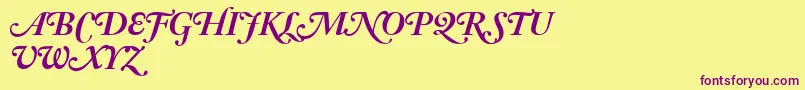 AdobeCaslonBoldItalicSwash Font – Purple Fonts on Yellow Background