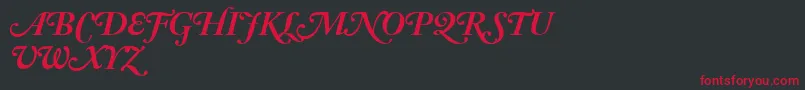 AdobeCaslonBoldItalicSwash Font – Red Fonts on Black Background