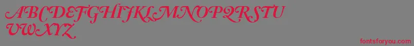 AdobeCaslonBoldItalicSwash Font – Red Fonts on Gray Background