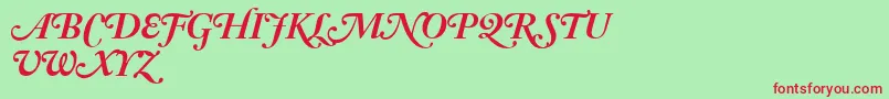 AdobeCaslonBoldItalicSwash Font – Red Fonts on Green Background