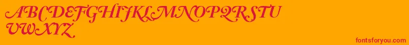 AdobeCaslonBoldItalicSwash Font – Red Fonts on Orange Background
