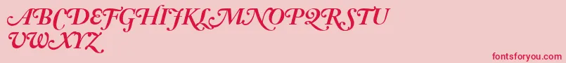 AdobeCaslonBoldItalicSwash Font – Red Fonts on Pink Background