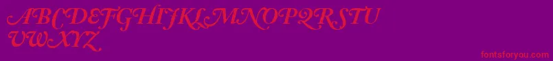 AdobeCaslonBoldItalicSwash Font – Red Fonts on Purple Background