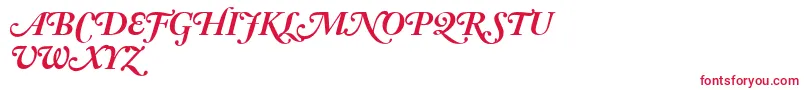 AdobeCaslonBoldItalicSwash Font – Red Fonts on White Background