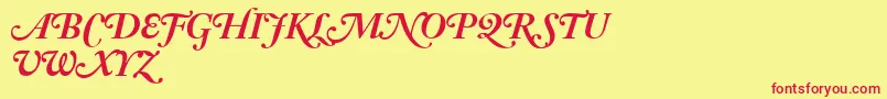 AdobeCaslonBoldItalicSwash Font – Red Fonts on Yellow Background