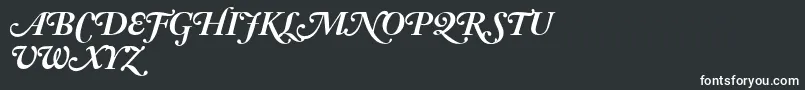 AdobeCaslonBoldItalicSwash Font – White Fonts on Black Background