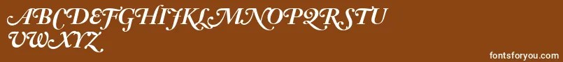 AdobeCaslonBoldItalicSwash Font – White Fonts on Brown Background
