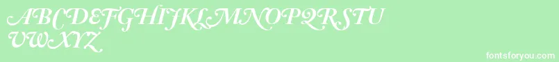 AdobeCaslonBoldItalicSwash Font – White Fonts on Green Background