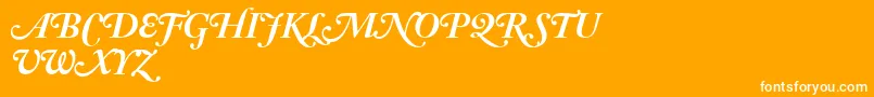 AdobeCaslonBoldItalicSwash Font – White Fonts on Orange Background