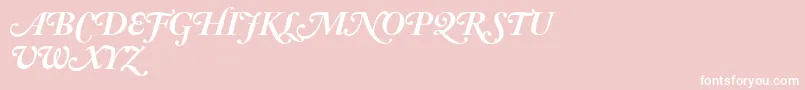 AdobeCaslonBoldItalicSwash Font – White Fonts on Pink Background