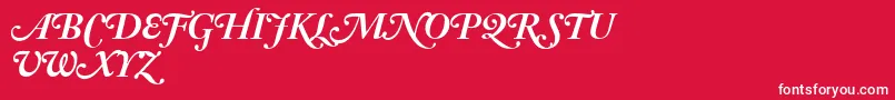 AdobeCaslonBoldItalicSwash Font – White Fonts on Red Background