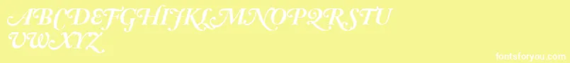 AdobeCaslonBoldItalicSwash Font – White Fonts on Yellow Background