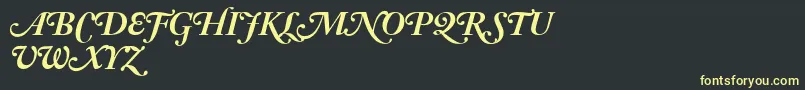AdobeCaslonBoldItalicSwash Font – Yellow Fonts on Black Background