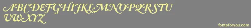 AdobeCaslonBoldItalicSwash Font – Yellow Fonts on Gray Background