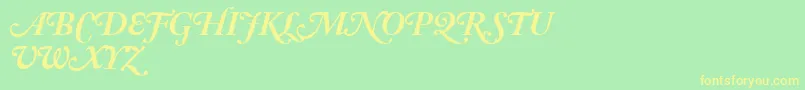 AdobeCaslonBoldItalicSwash Font – Yellow Fonts on Green Background