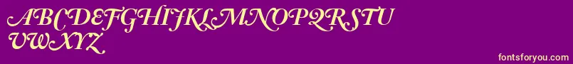 AdobeCaslonBoldItalicSwash Font – Yellow Fonts on Purple Background