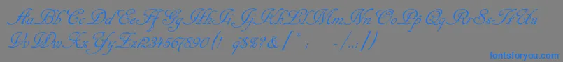 フォントCansellaristc – 灰色の背景に青い文字