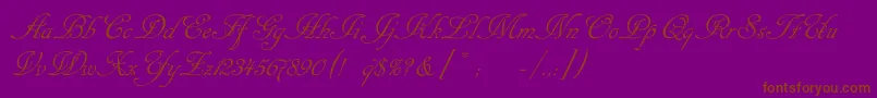 Cansellaristc Font – Brown Fonts on Purple Background