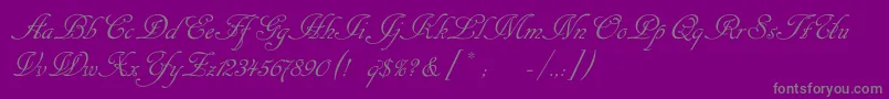 Cansellaristc-Schriftart – Graue Schriften auf violettem Hintergrund