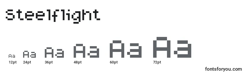 Steelflight Font Sizes