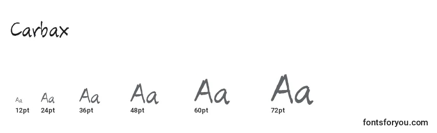 Carbax Font Sizes