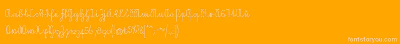 NeueRudelskopfVerbunden Font – Pink Fonts on Orange Background