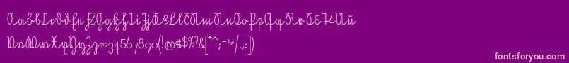 NeueRudelskopfVerbunden Font – Pink Fonts on Purple Background