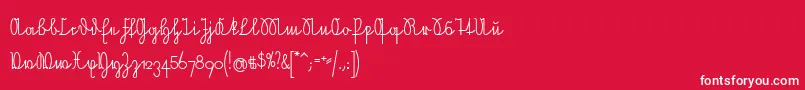 NeueRudelskopfVerbunden Font – White Fonts on Red Background