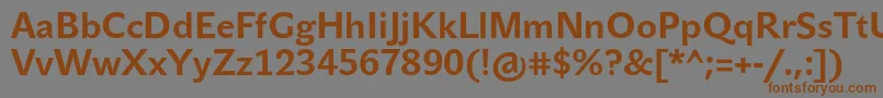 フォントJohnsansTextProBold – 茶色の文字が灰色の背景にあります。