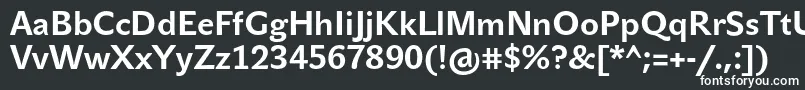 フォントJohnsansTextProBold – 黒い背景に白い文字