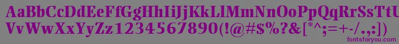 EllingtonMtExtraBold Font – Purple Fonts on Gray Background