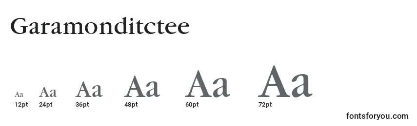 Размеры шрифта Garamonditctee