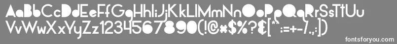 AlpacaSolidify Font – White Fonts on Gray Background