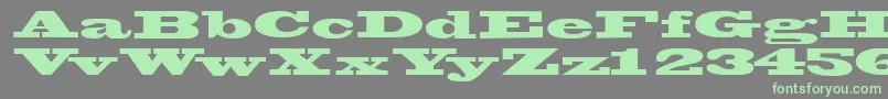 Wantedssk Font – Green Fonts on Gray Background