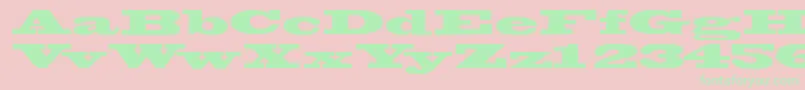 Wantedssk Font – Green Fonts on Pink Background
