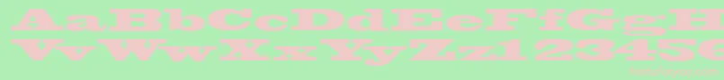 Wantedssk Font – Pink Fonts on Green Background