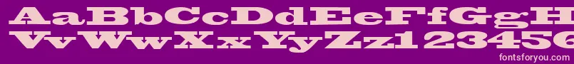 Wantedssk Font – Pink Fonts on Purple Background