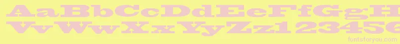 Wantedssk Font – Pink Fonts on Yellow Background