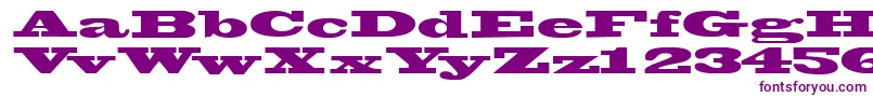 Wantedssk-fontti – violetit fontit