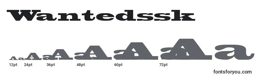 Wantedssk Font Sizes