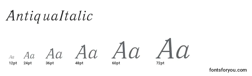 Размеры шрифта AntiquaItalic
