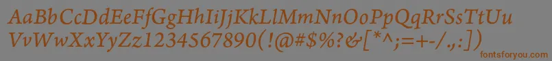 Шрифт ArnoproItalic08pt – коричневые шрифты на сером фоне