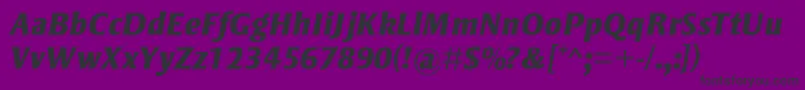 StrayhornMtExtraBoldItalic Font – Black Fonts on Purple Background