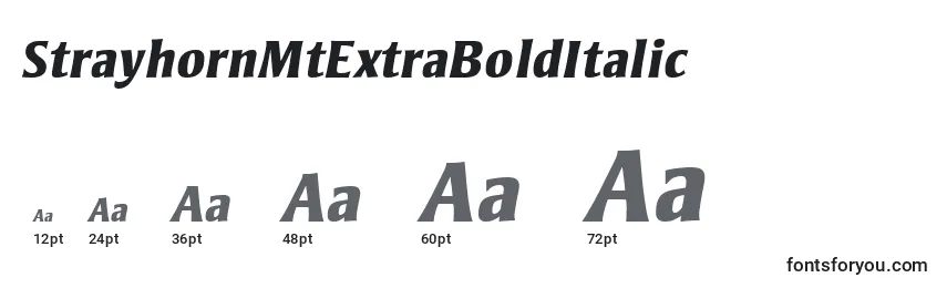 StrayhornMtExtraBoldItalic Font Sizes