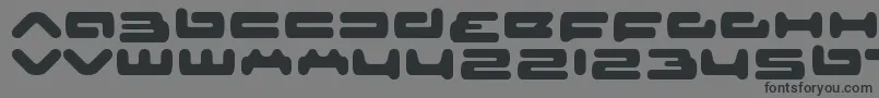 フォントSeniorserviceRegular – 黒い文字の灰色の背景
