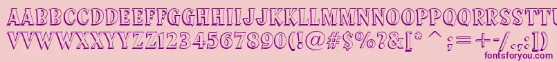 SprocketDeluxeBt Font – Purple Fonts on Pink Background