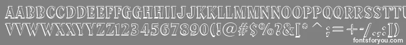 フォントSprocketDeluxeBt – 灰色の背景に白い文字
